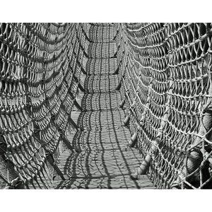 Rope Bridge  11 x 14 print